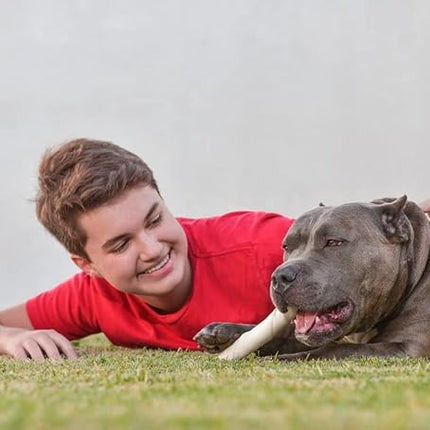 Cowdog Chews Retriever Roll 9-10 inch All Natural Rawhide Dog Treat (3 Pack)