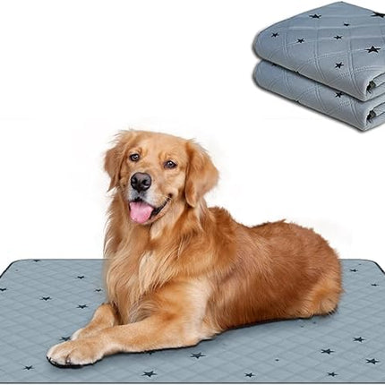 RIOUSSI Washable Pee Pads for Dogs, Reusable, Absorbent, Leakproof, Non Slip Pet Puppy Pads for Potty Training. Gray Stars, 24x36 Inch(2pack)