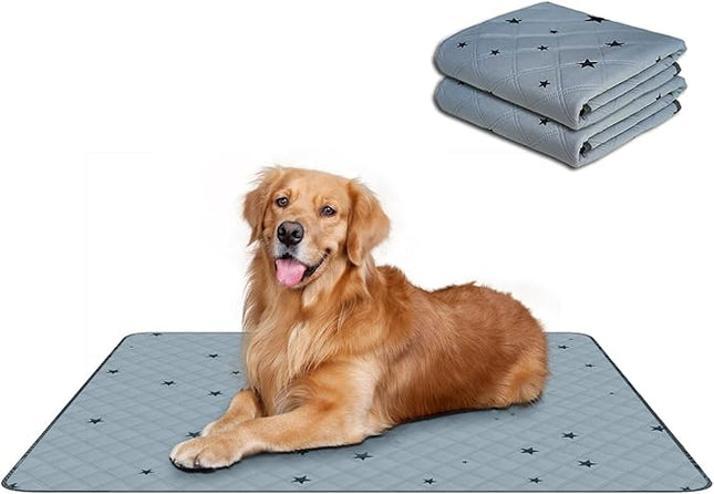 RIOUSSI Washable Pee Pads for Dogs, Reusable, Absorbent, Leakproof, Non Slip Pet Puppy Pads for Potty Training. Gray Stars, 24x36 Inch(2pack)