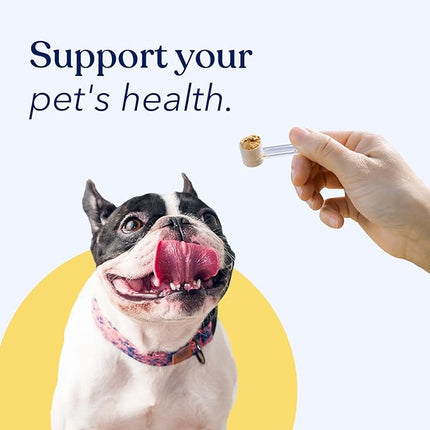 Honest Paws Turkey Tail Mushroom for Dogs - Digestive and Immune Support - Shiitake, Reishi, Maitake Mushroom Supplement Powder for Dogs - No Filler, No Additives - (30 Scoops)