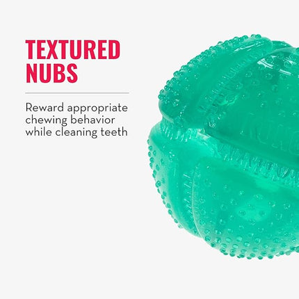 KONG Squeezz Dental Ball - Dog Toy for Cleaning Teeth - Flexible Chew Toy for Gentle & Mild Chewers - for Medium/Large Dogs