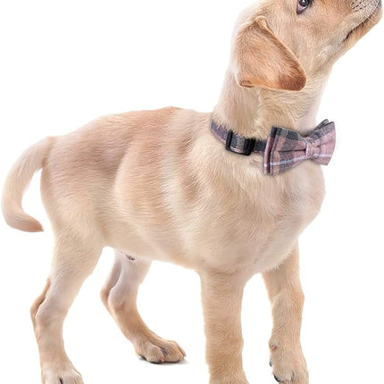 Faleela Cute Soft Girl Dog Collar with Bow, Bowtie Dog Collar for Boy,Detachable Adjustable Collar for Small Medium Large Pet