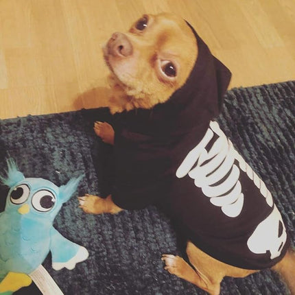 Halloween Pet Dog Cat Skull Hoodies Glowing Skeleton Bones Costume Outfit for Dogs Cats (M)