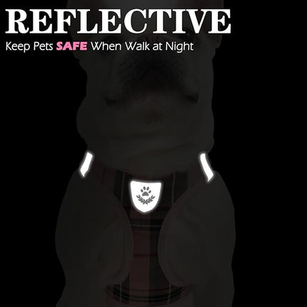 EXPAWLORER Classic Plaid Puppy Harness - Small Dog Harness and Leash Set - Dog Collar and Leash Set with AirTag Holder, Soft Padded Step in Dog Vest Harness No Pull Reflective for Outdoor, Pink XXS