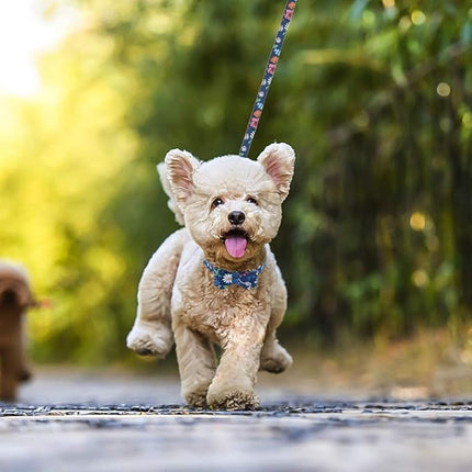 EXPAWLORER Dog Collar and Leash Set - Classic Plaid Dog Bow Tie and Dog Bandana Collar with Bell, Dog Leash Tangle Free, Adjustable Collars for Small Medium Dogs, Holiday Ideal Gift, Flower SM