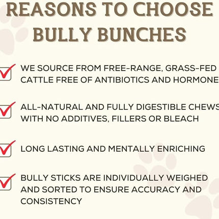 Bully Bunches Premium 6 Inch Standard Odor-Free Bully Sticks for Small to Medium Dogs & Puppies - Long Lasting Chews for Oral Care - All Natural, 100% Beef Dog Treats, Rawhide Free (5 Pack)