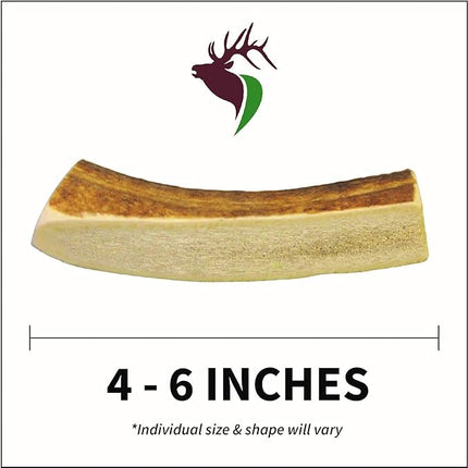 Small Split 5 Pack (for 0-20 lb Dogs and Puppies) Premium Grade Elk Antlers for Dogs (5 Pieces) Sourced in The USA