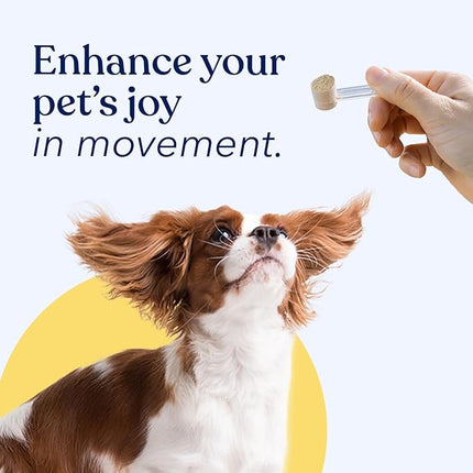 Honest Paws Joint Supplement for Dogs - Supports Mobility, Hip & Joint Health, Eases Stiffness - Glucosamine, Green Lipped Mussel, Fish Oil, Chondroitin Sulfate, MSM, Vitamin C