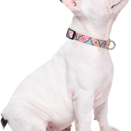 Rnivvi Dog Collar for Small Dogs, Cute Heavy Duty Adjustable Puppy Collar with Quick Release Buckle for Boy Girl & Female, Pet Accessories for Walking Running, S Length 3/4" Width, Beautiful Mandala