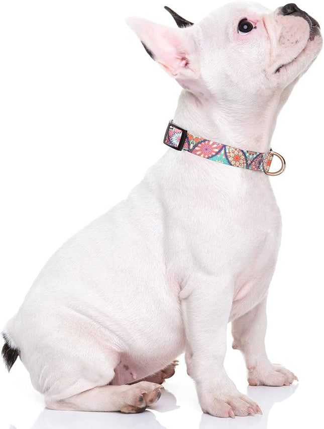 Rnivvi Dog Collar for Small Dogs, Cute Heavy Duty Adjustable Puppy Collar with Quick Release Buckle for Boy Girl & Female, Pet Accessories for Walking Running, S Length 3/4" Width, Beautiful Mandala