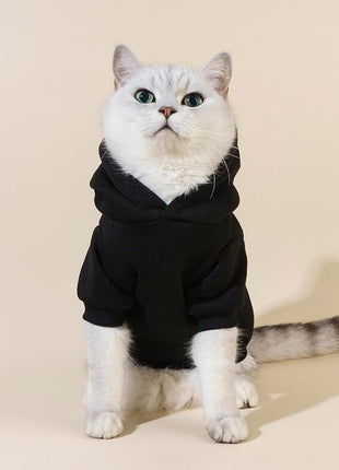 QWINEE Cartoon Bear Print Cat Hoodie Breathable Stretchy Sweatshirts with Hat Warm Cat Clothes for Small Medium Large Cats Dogs Multicolor XS