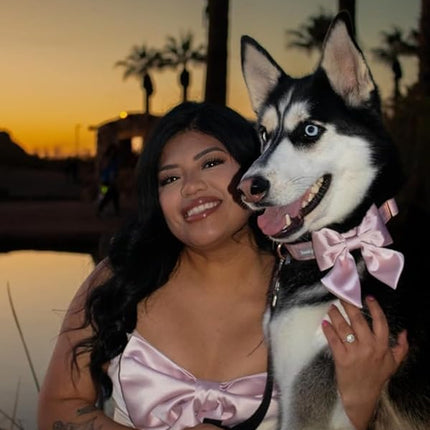 Lionet Paws Bowtie Dog Collar - Comfortable Silk Dog Collar with Detachable Bow Tie for Medium Dogs, Neck 13.5-22 Inches