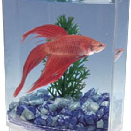 Penn-Plax Betta Bowfront Aquarium Tank Kit