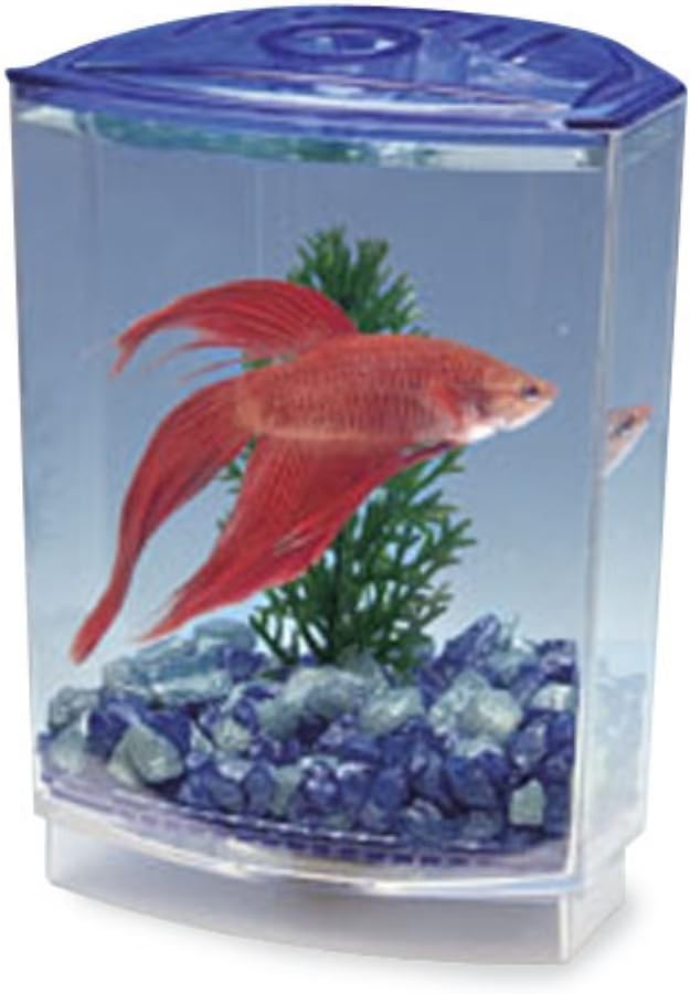 Penn-Plax Betta Bowfront Aquarium Tank Kit