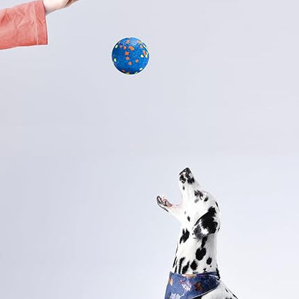 Dog Balls, Indestructible Dog Toy Ball for Aggressive Chewers, Durable High Elasticity Interactive Ball for Training Dog Catch and Fetch, Large Medium Small Dog and Puppies(Blue, 2.5in, 2pcs)