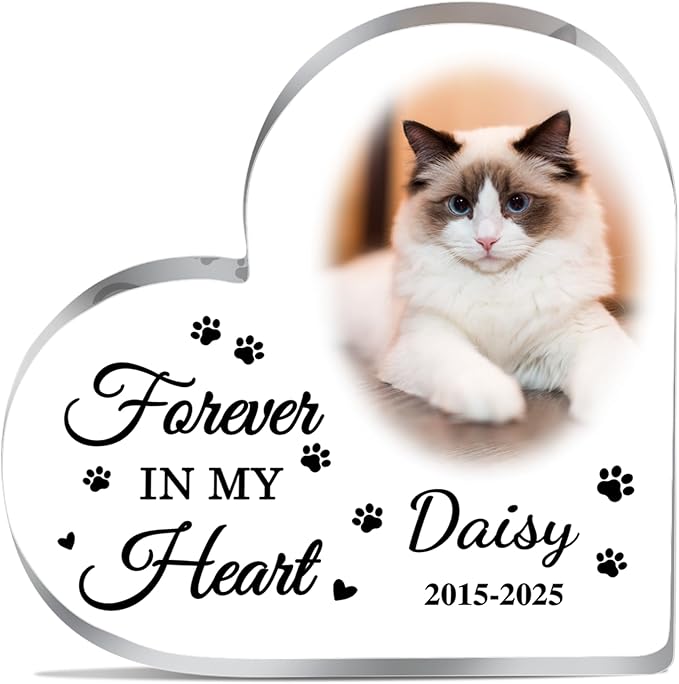 Cat Memorial Gifts for Loss of Cat Custom Pet Memorial Acrylic Plaque Pet Loss Gifts Pet Memorial Gifts for Dogs Cats Dog Remembrance Bereavement Gift Dog Death Sympathy Gift in Memory of Dog Keepsake