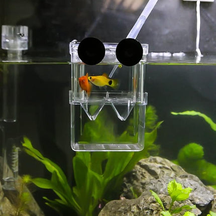 Senzeal Aquarium Fish Breeder Box Plastic Fish Isolation Breeding Box Hatching Incubator Box for Baby Fishes Shrimp Clownfish Guppy