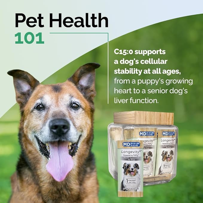 Longevity15 – C15:0 – Fatty Acid Health Supplement for Dogs – Healthy Pet Supplies – for Medium Dogs, 3 Pack