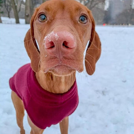 Gooby Stretch Fleece Vest Dog Sweater - Burgundy, X-Small - Warm Pullover Super Stretchy Fleece Dog Jacket for Small to Large Dogs