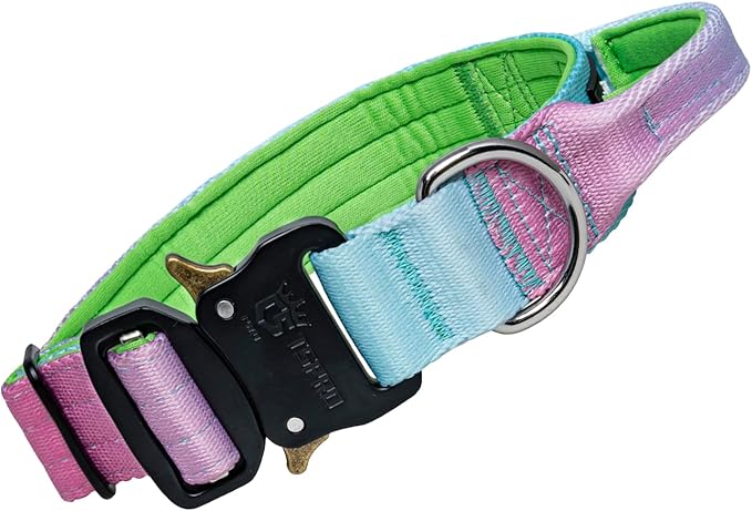 TSPRO Premium Dog Collars Tactical Dog Collar with Handle and Heavy Duty Quick-Release Metal Buckle Durable Thick and Adjustable for Medium to Large Dogs (Cyan Gradient M)