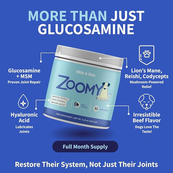 Dog Joint Supplement Powder with Glucosamine, Chondroitin & MSM – Hip & Joint Support for Mobility, Stiffness & Flexibility – Mushroom Blend with Lion’s Mane, Cordyceps & Reishi – Zoomy