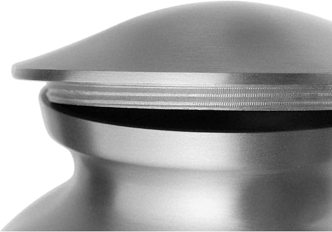 Ottillie Paws Elite Series Personalized Pet Urn for Dogs and Cats - Pet Memorial Urns with Custom Engraving (Pewter, Horizontal, Brass, X-Large)