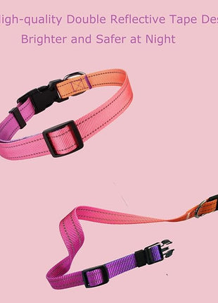 Roses&Poetry Reflective Dog Collar with Gradient Mistyrose, Adjustable Durable Pet Collars for Small Medium Large Dogs (Mistyrose-M)