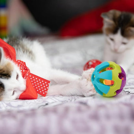 Hypeety Pet Parrot Toy Plastic Colorful Birds Ball with 1 Bell for Budgie African Grey Cockatoo Cockatiel Sun Conures 1 Ball