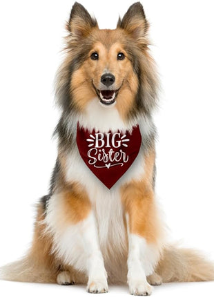 Big Sister Bandana for Dogs, Dog Pregnancy Announcement, Dark Red Dog Bandana, Pet Bandana for Small Medium Large Dogs (M)