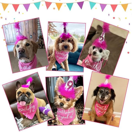 BINGPET Dog Birthday Bandana Scarf and Reusable Hat with 0-8 Figures,Cute Puppy Dog Birthday Outfit Party Supplies Gift for Small Medium Large Dogs Girl