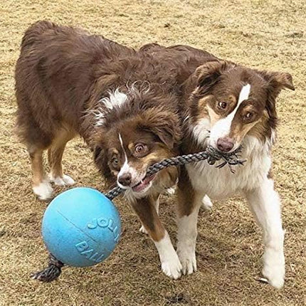 Jolly Pets Romp-n-Roll Rope and Ball Dog Toy, 8 Inches/Large, Blueberry, All Breed Sizes