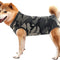 Dog Apparel & Accessories