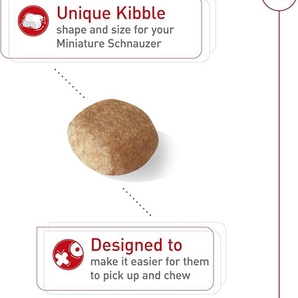 Royal Canin Breed Health Nutrition Miniature Schnauzer Adult Dry Dog Food, 10 lb Bag