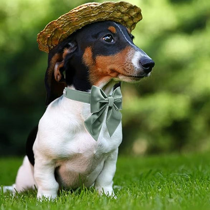 Lionet Paws Bowtie Dog Collar - Comfortable Silk Dog Collar with Detachable Bow Tie for Puppy and Cat, Neck 8-12 Inches