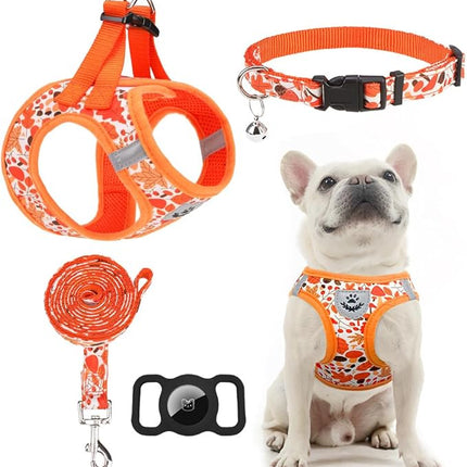 EXPAWLORER Thanksgiving Autumn Puppy Harness - Dog Collar and Leash - Soft Mesh Padded Adjustable Step in Small Dog Vest Harness No Pull, Reflective Escape Proof for Outdoor Walking, Orange S