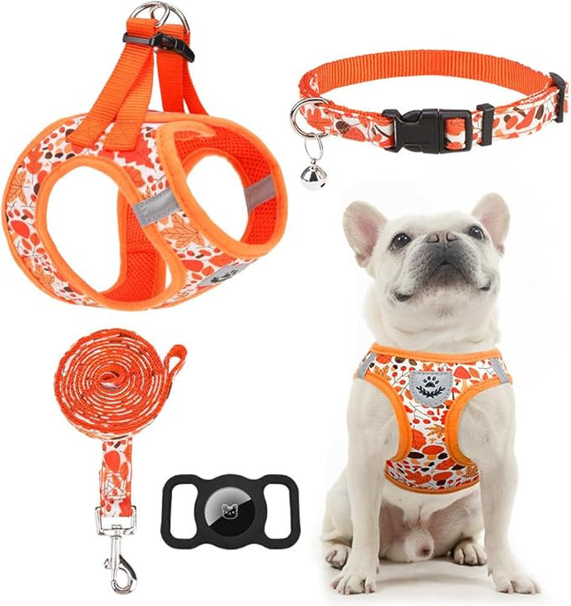 EXPAWLORER Thanksgiving Autumn Puppy Harness - Dog Collar and Leash - Soft Mesh Padded Adjustable Step in Small Dog Vest Harness No Pull, Reflective Escape Proof for Outdoor Walking, Orange S