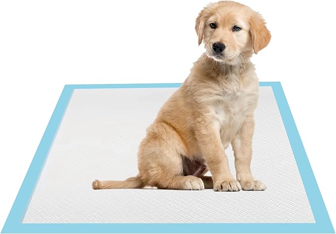 22x22 Dog Pee Pads 40 Count, Charcoal Puppy Training Pads, Super Absorbent 6-Layer Leak-Proof for Dogs, Fast-Drying, Potty and Floor Protection