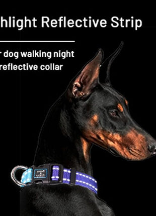 Roses&Poetry Reflective Dog Collar with Gradient Violet, Adjustable Durable Pet Collars for Small Medium Large Dogs (Violet-XS)