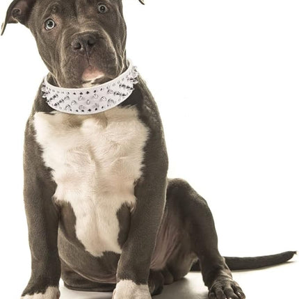 Hoot PU Leather Adjustable Spiked Studded Dog Collar 2" Wide 25 Spikes (XS(Neck 15"-18"), White)
