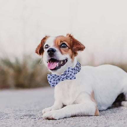 Lionet Paws Dog Collar with Bowtie, Summer Bowtie Collar for Dog,Adjustable Comfortable Dog Collar Gift for Puppy Small Medium Large Dog
