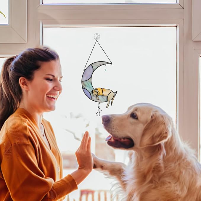 BOXCASA Dog Memorial Gifts Stained Glass Window Hangings,Dog on Moon Rainbow Bridge Decor Suncatchers,Dogs Bereavement Gifts for Loss of Pet,Loss of Pet Sympathy Gift for Pet Lover