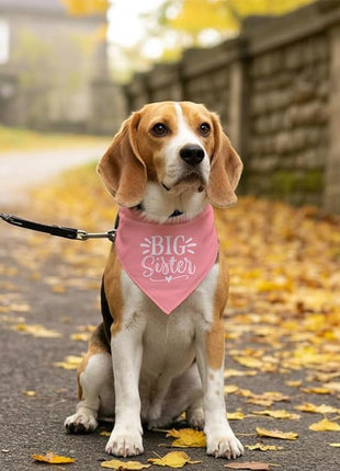 Big Sister Dog Bandana, Pink Pet Dog Scarf Accessories, Pet Triangle Scarf for Small Medium Dogs, Baby Announcement Dogs Bandana (M)