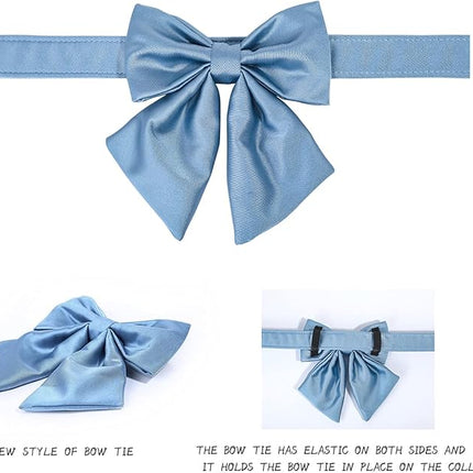 Lionet Paws Bowtie Dog Collar - Comfortable Silk Dog Collar with Detachable Bow Tie for XLarge Dogs, Neck 16-26 Inches