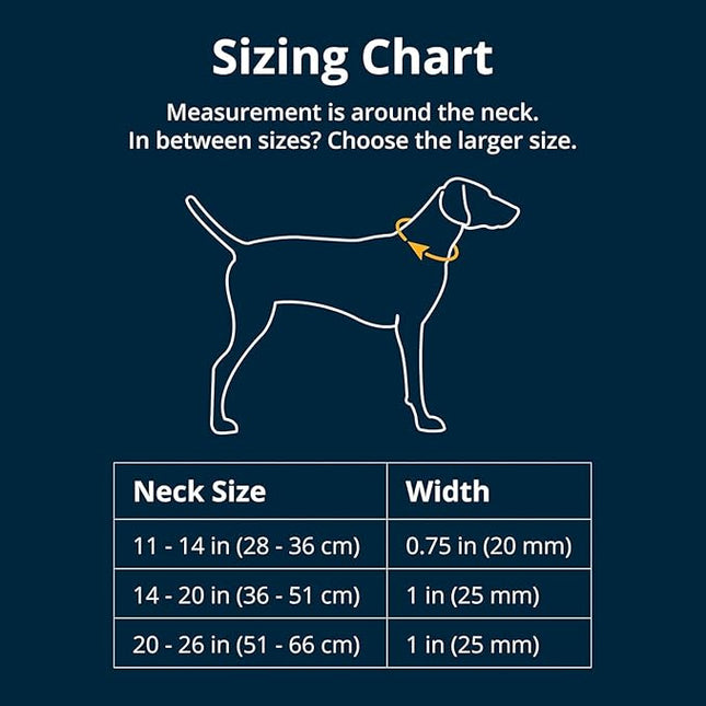 Ruffwear, Crag Dog Collar, Stylish Adventure Collar with Premium Reflective Design, Quick Release Buckle, Lightweight All-Day Comfort, Canyon Oxbow, 11"-14"