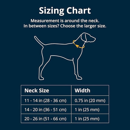 Ruffwear, Crag Dog Collar, Stylish Adventure Collar with Premium Reflective Design, Quick Release Buckle, Lightweight All-Day Comfort, Rising Wave, 20"-26"