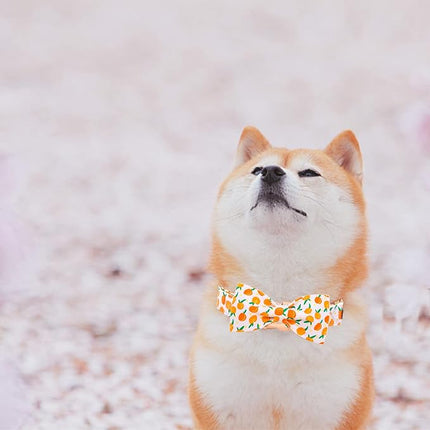 Elegant little tail Dog Collar, Peach Pattern Pet Collars with Bow Girl Cotton Bowtie Collars Spring Puppy Gift Adjustable Pet Collar for X-Small Dogs