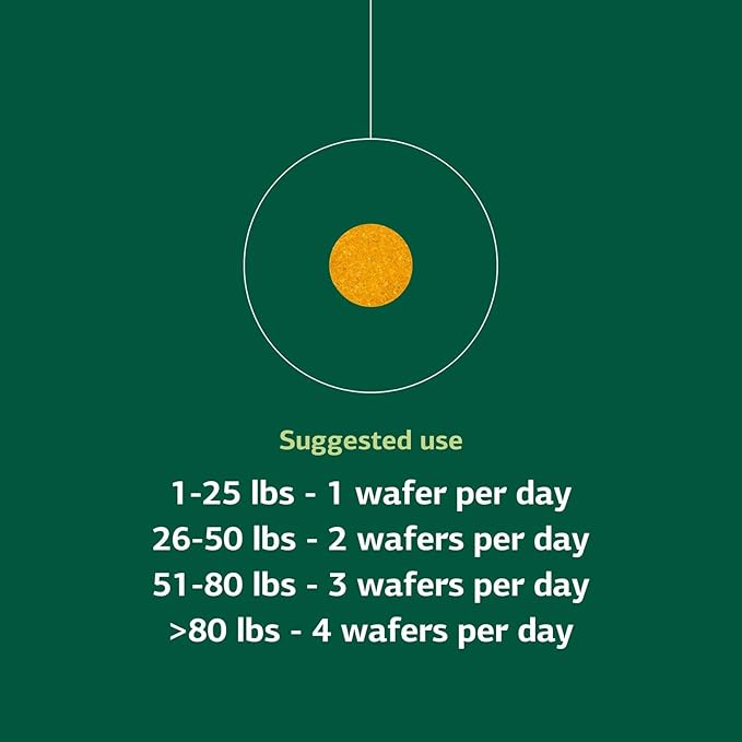 Standard Process Inc. Canine Flex Support - Joint & Immune Health Supplement for Dogs - Chewable Wafers for Healthy Joint Function Support - Nutritional Whole-Food Based Supplement - 100 wafers
