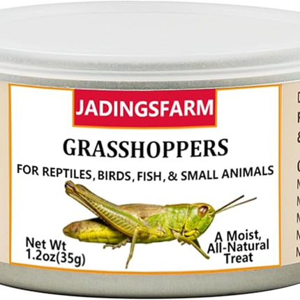 6 Pack Canned Grasshoppers for Reptiles, Fish, Birds and Small Animals, Grasshoppers, Healthy High Protein Treat, Bearded Dragon Food 7.2 Ounces Total