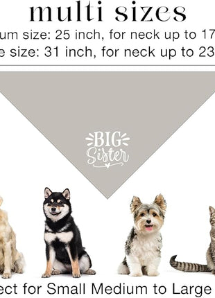 Big Sister Dog Bandanas, Light Gray Dog Bandana, Pet Triangle Scarf Accessories, Pet Bandanas for Large Dogs, Baby Announcement Dogs Bandana (L)