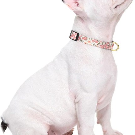 Rnivvi Dog Collar for Small Dogs, Cute Floral Heavy Duty Adjustable Puppy Collar with Quick Release Buckle for Girl & Female, Pet Accessories for Walking Running, S Length 3/4" Width, Pink White